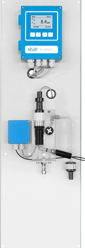 AMI Hydrogen QED